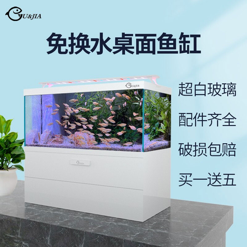 底滤缸