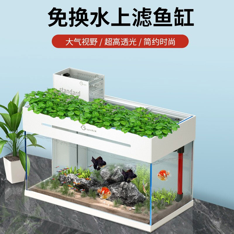 上滤缸