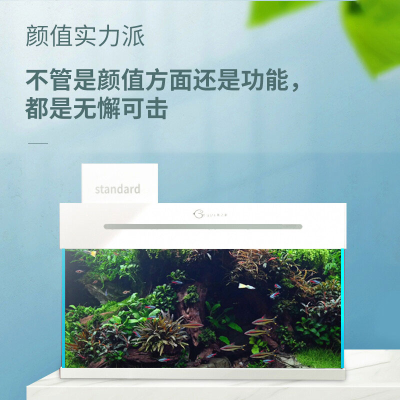 上滤缸